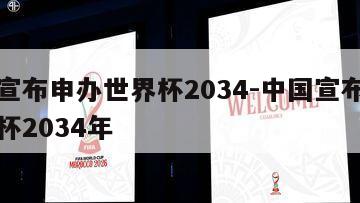 中国宣布申办世界杯2034-中国宣布申办世界杯2034年